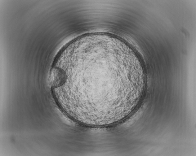 X0000111020789200907171854