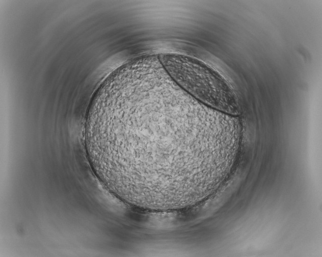 X0000111020793200907171854