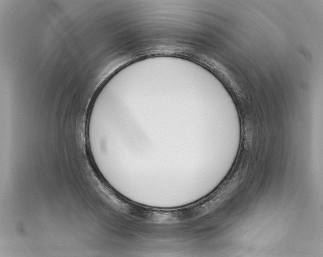 X0000111020794200907171854
