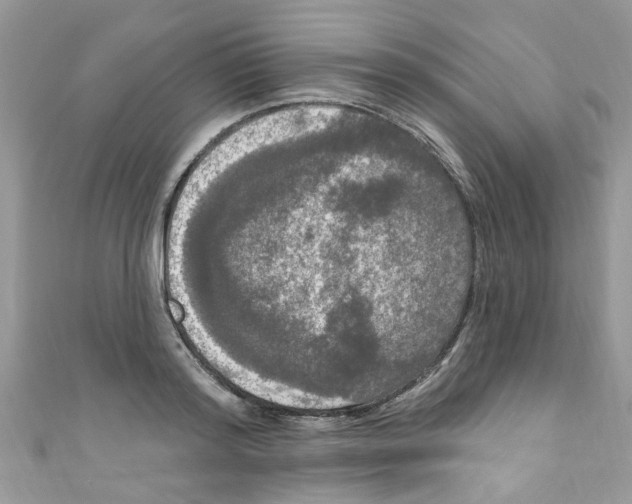 X0000111020796200907171854