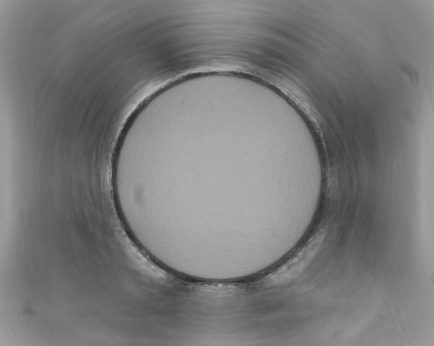 X0000111020797200907171854