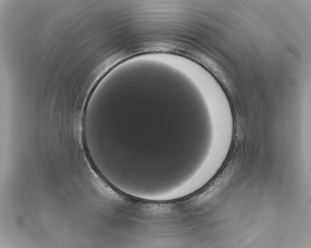 X0000111020802200907171854