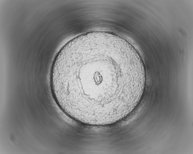 X0000111020803200907171854