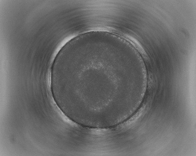 X0000111020804200907171854