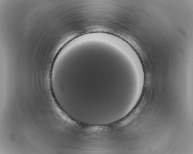 X0000111020806200907171854