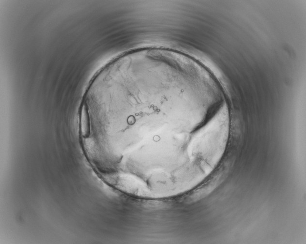 X0000111020807200907171854