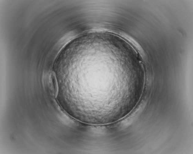 X0000111020809200907171854