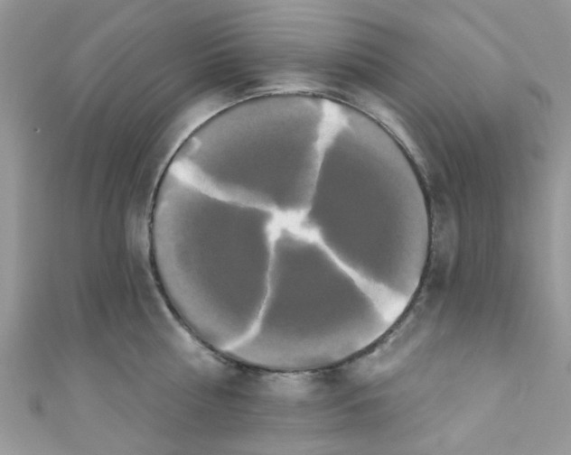 X0000111020810200907171854