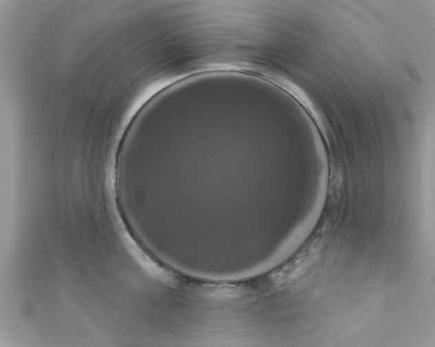X0000111020811200907171854