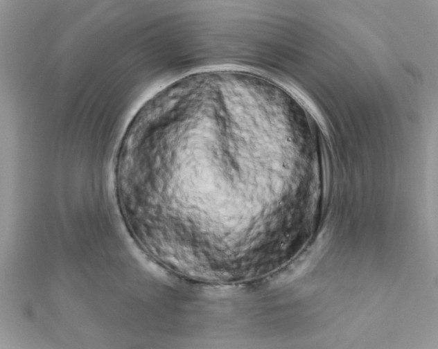 X0000111020813200907171854