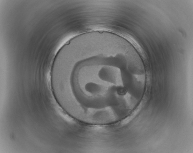 X0000111020814200907171854