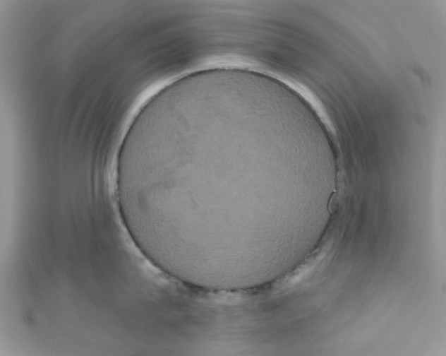 X0000111020815200907171854