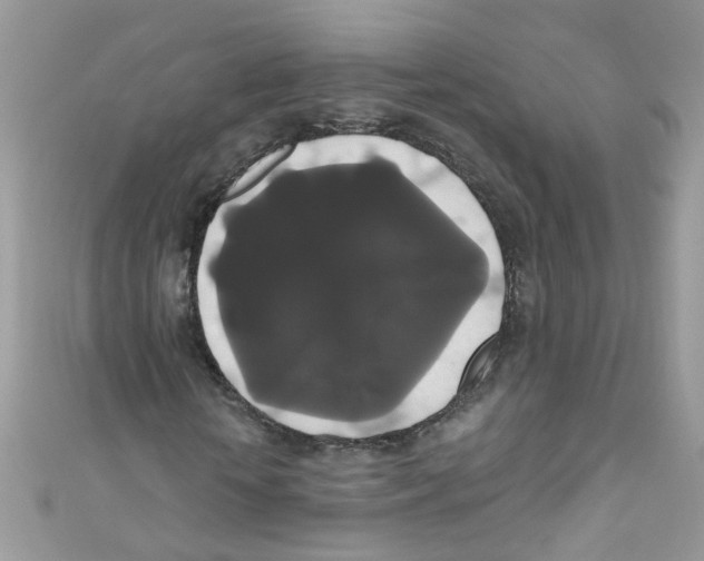 X0000111020818200907171853