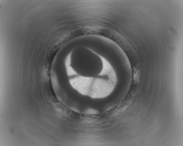 X0000111020819200907171853