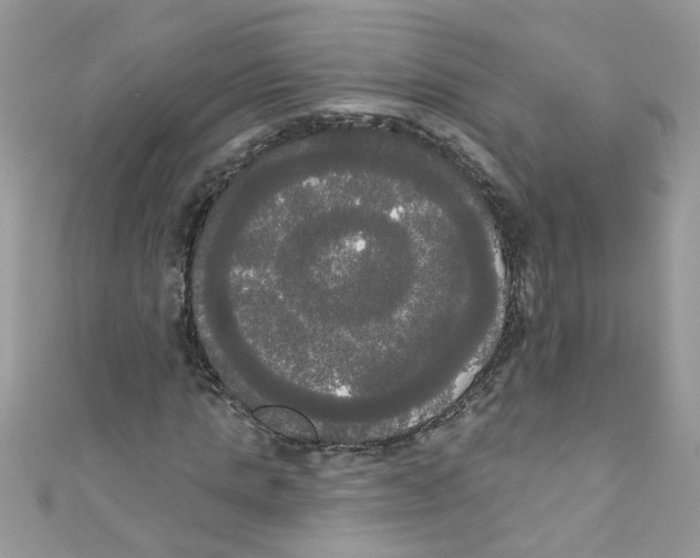 X0000111020821200907171853