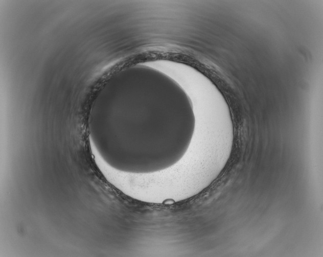 X0000111020822200907171853