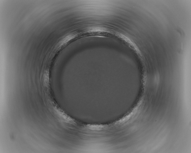 X0000111020825200907171853
