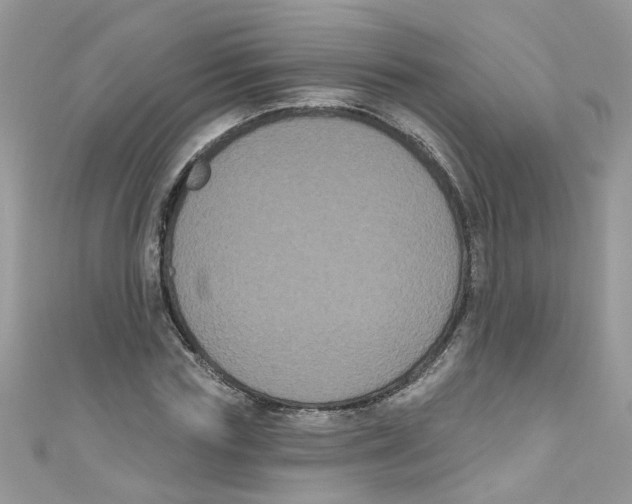 X0000111020827200907171853