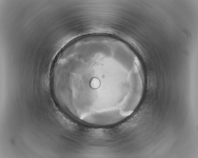 X0000111020828200907171853