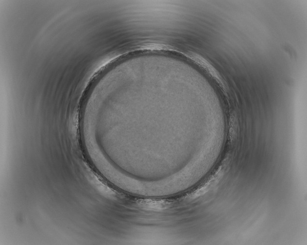 X0000111020831200907171853