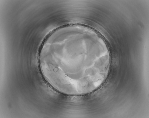 X0000111020832200907171853