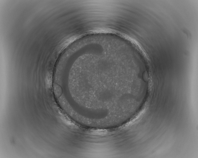 X0000111020833200907171853