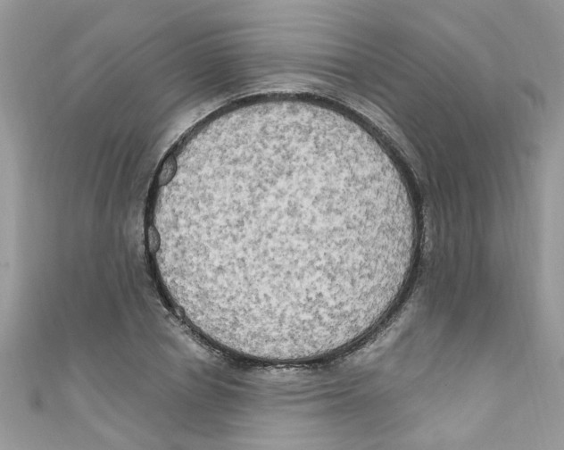 X0000111020834200907171853