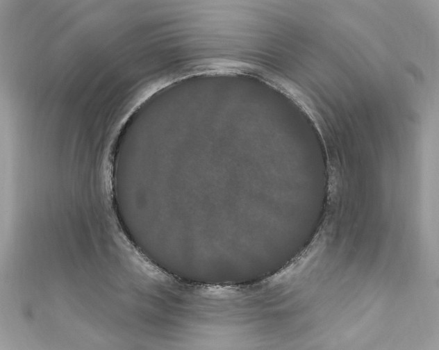 X0000111020835200907171853