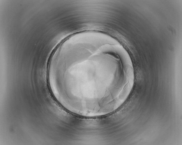 X0000111020836200907171853