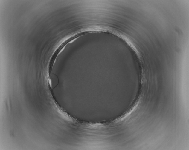 X0000111020837200907171853