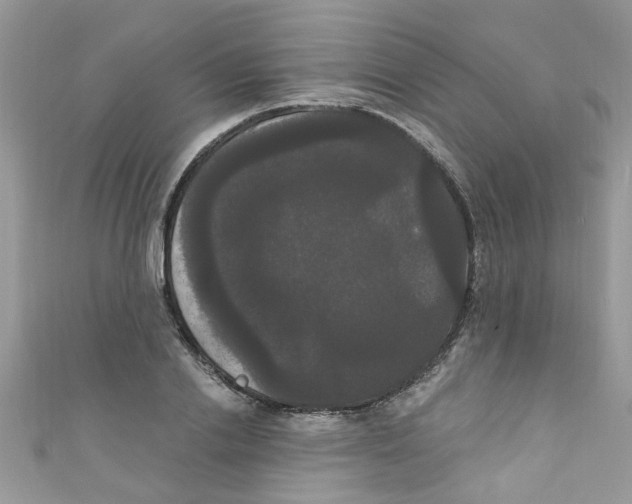 X0000111020838200907171853