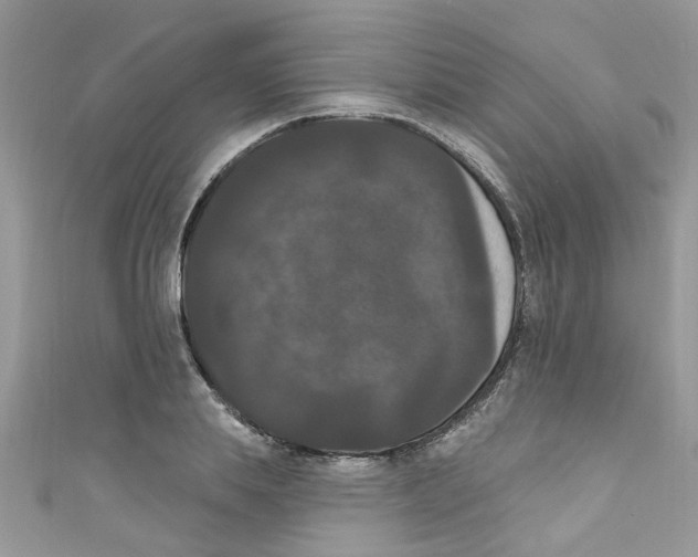 X0000111020839200907171853