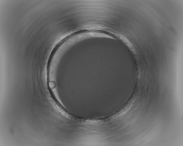 X0000111020840200907171853