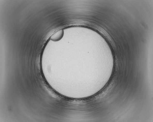 X0000111020842200907171853