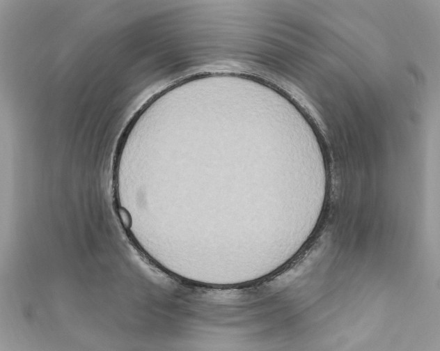 X0000111020845200907171853