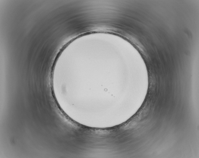 X0000111020848200907171853