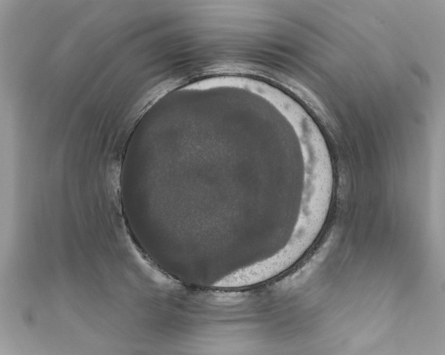 X0000111020849200907171853