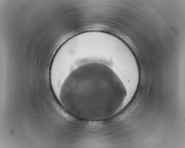 X0000111020850200907171853