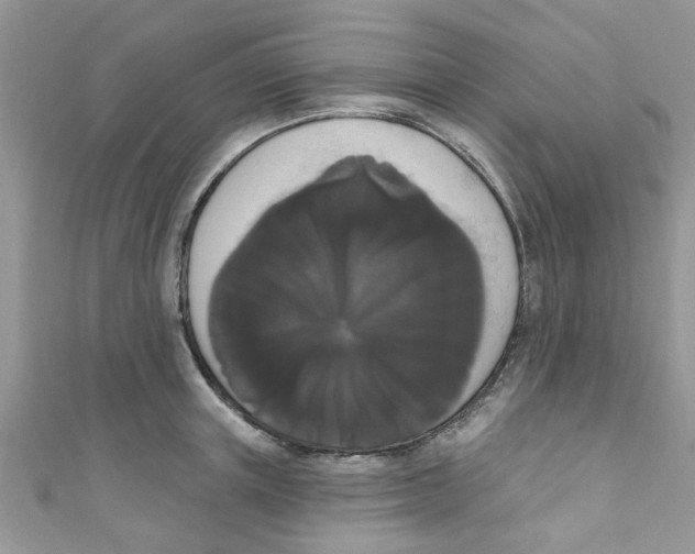 X0000111020851200907171853