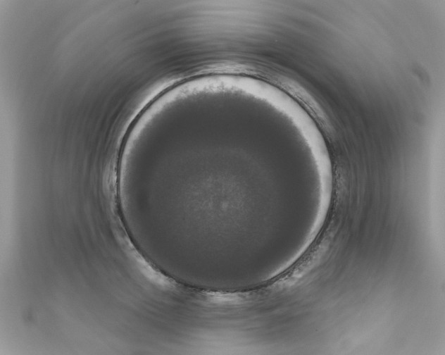 X0000111020852200907171854