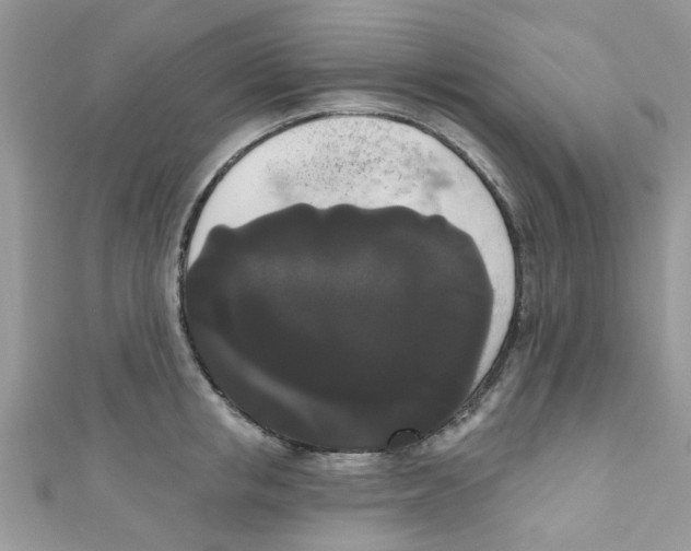 X0000111020853200907171854