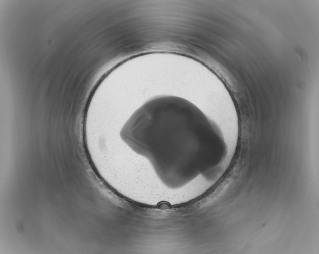 X0000111020854200907171854