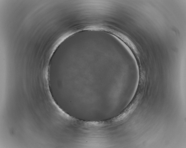 X0000111020855200907171854