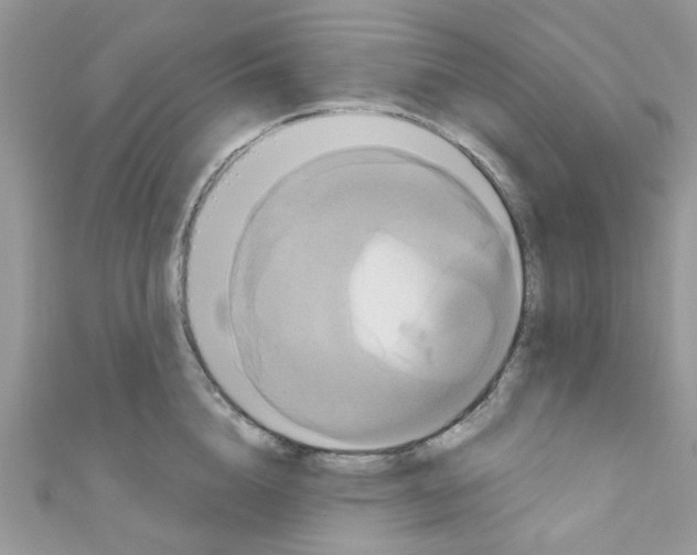 X0000111020856200907171854