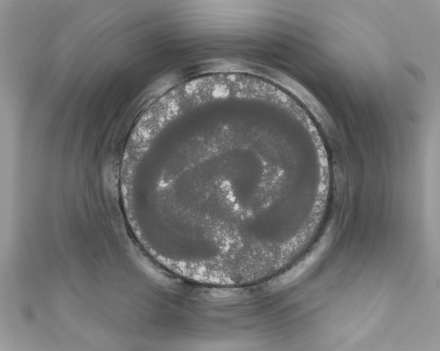 X0000111020857200907171854