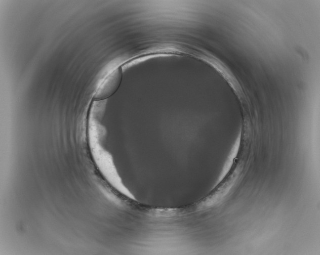 X0000111020858200907171854