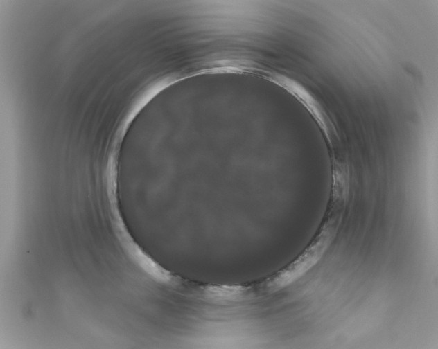 X0000111020859200907171854