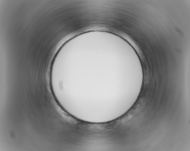 X0000111020861200907171854