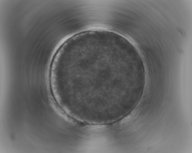 X0000111020864200907171854