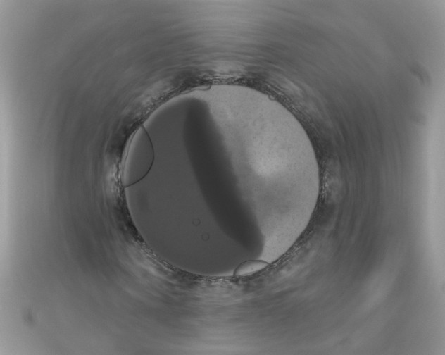 X0000111020866200907171853